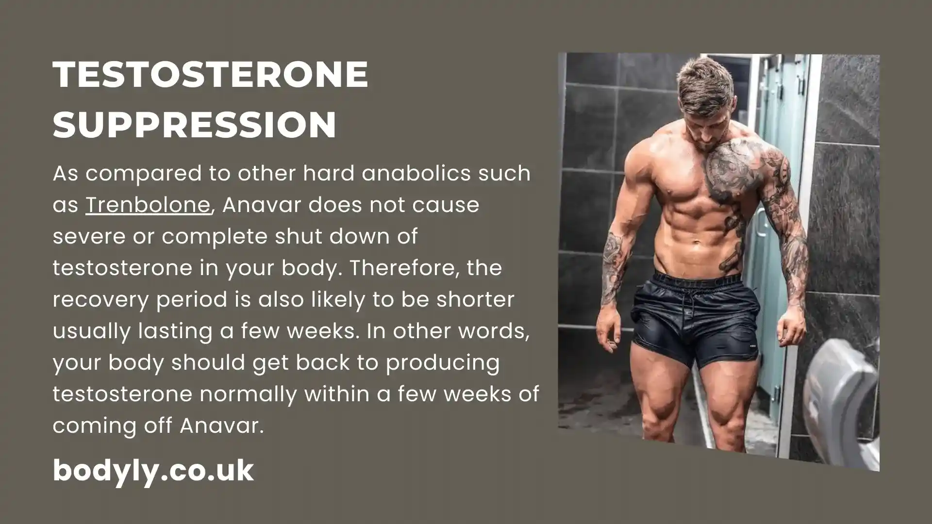 testosterone suppression