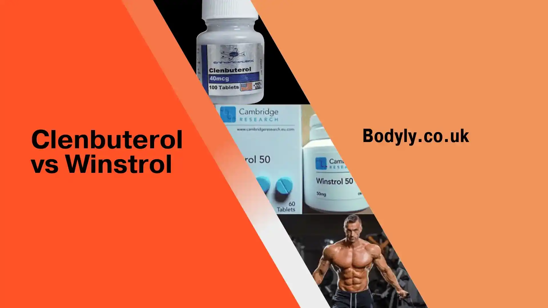 Clenbuterol vs Winstrol