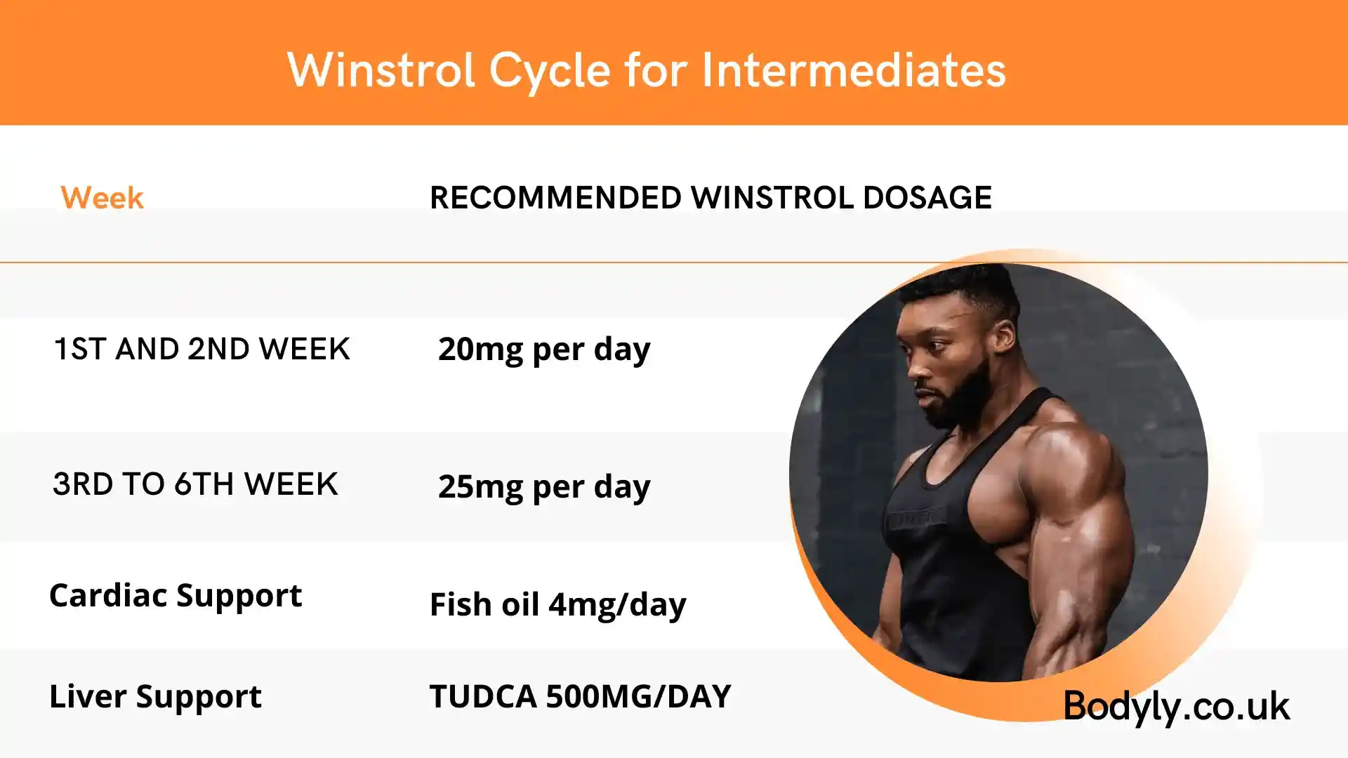 Winstrol cycle for intermediates
