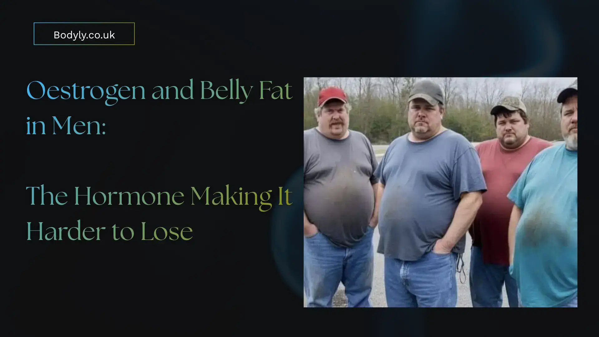 Oestrogen and Belly Fat in Men